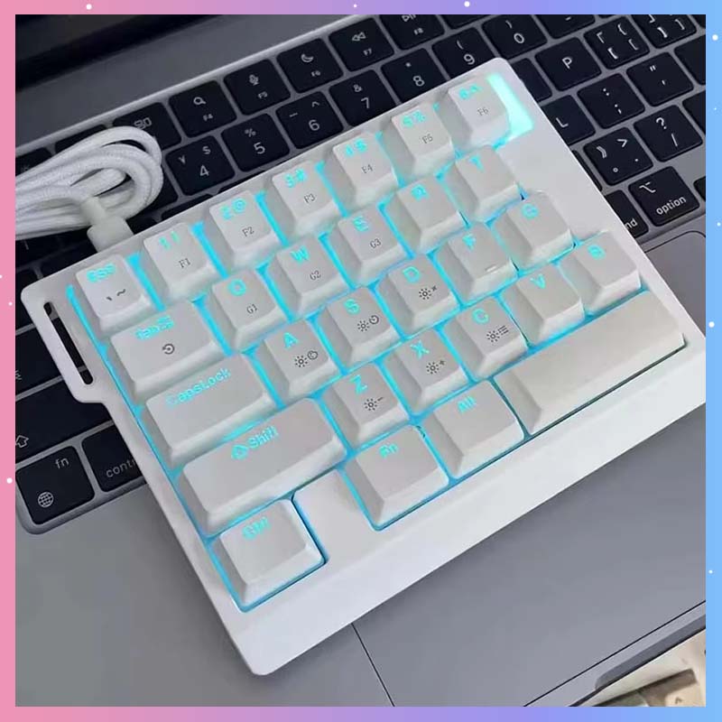 HE30 Mechanical Gaming Keyboar - Gaming Keyboard Magnetic Switches incelemesi ve fiyatı