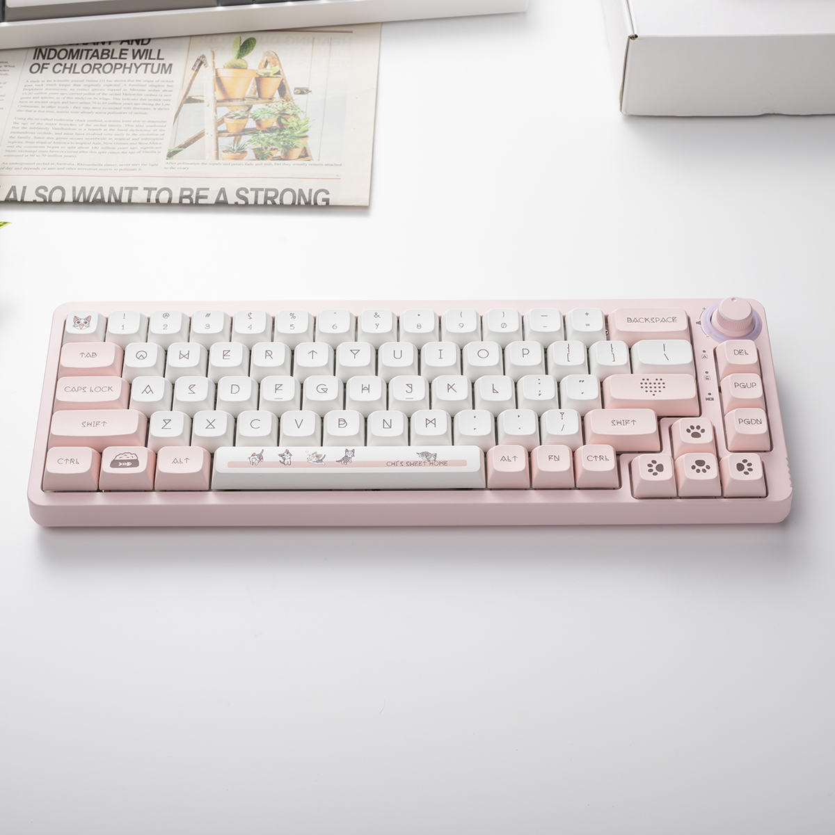 TM680 Hot Swap Mechanical Keyb - Hot Swap Pcb incelemesi ve fiyatı